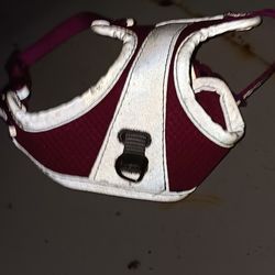 Xsmall Dog Harness New