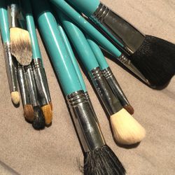 Sigma makeup brushes - used & cleaned