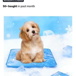 Dog mat