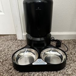 Cat Automatic Feeder