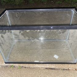 10 Gallon Tank 