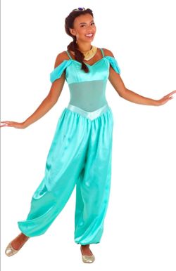 Princess Jasmine adult costume