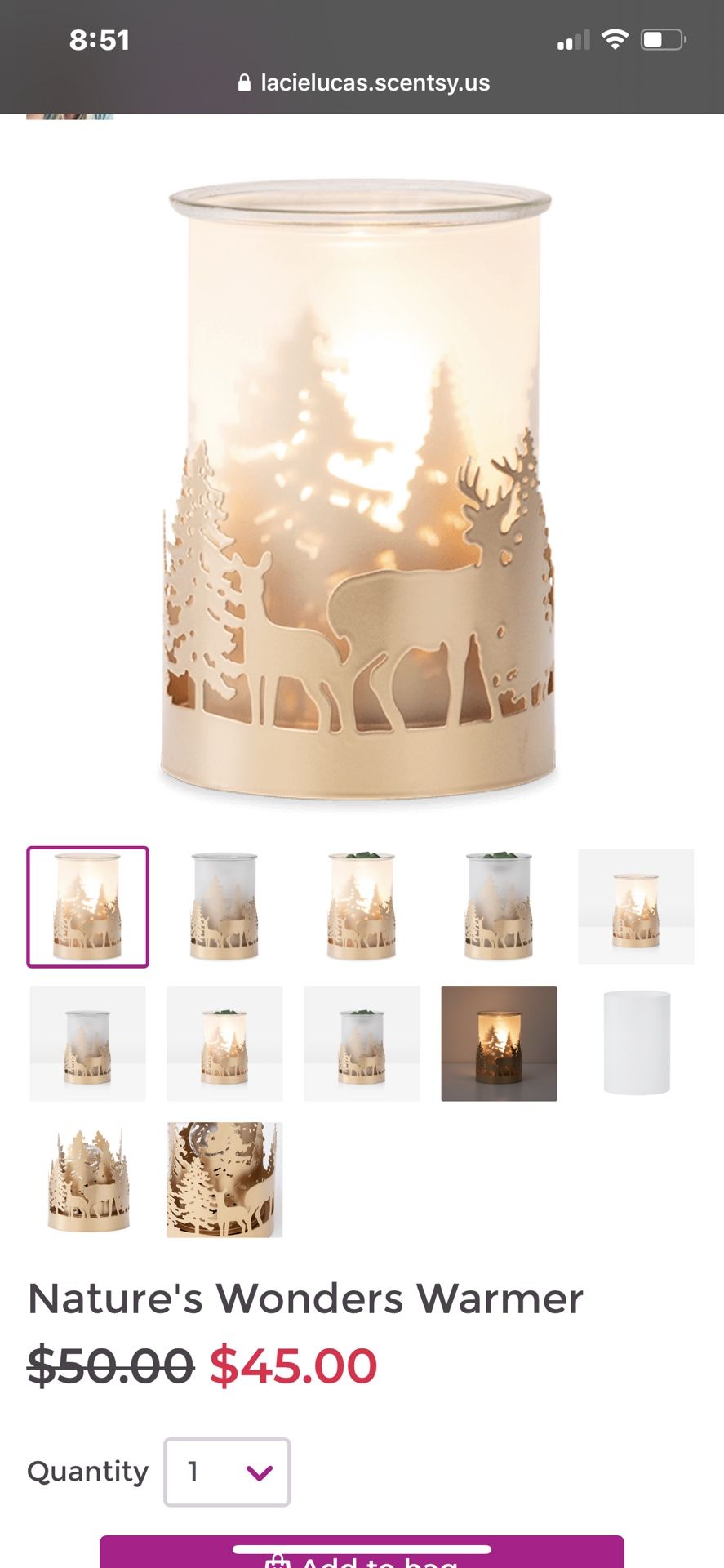 Scentsy Warmer