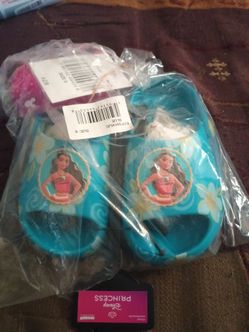 Disney Moana slides