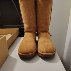 BRAND NEW UGGS 