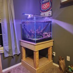 Fish Tanks