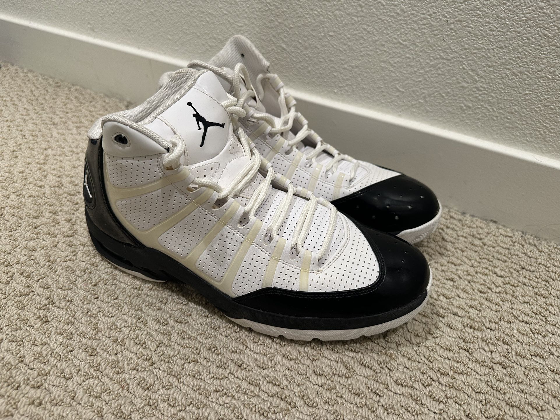 Air Jordan Size 12 Shoes