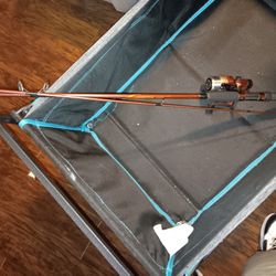 Fishing Rod