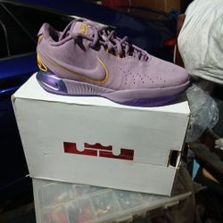 NIKE LEBRON 21 PURPLE RAIN
