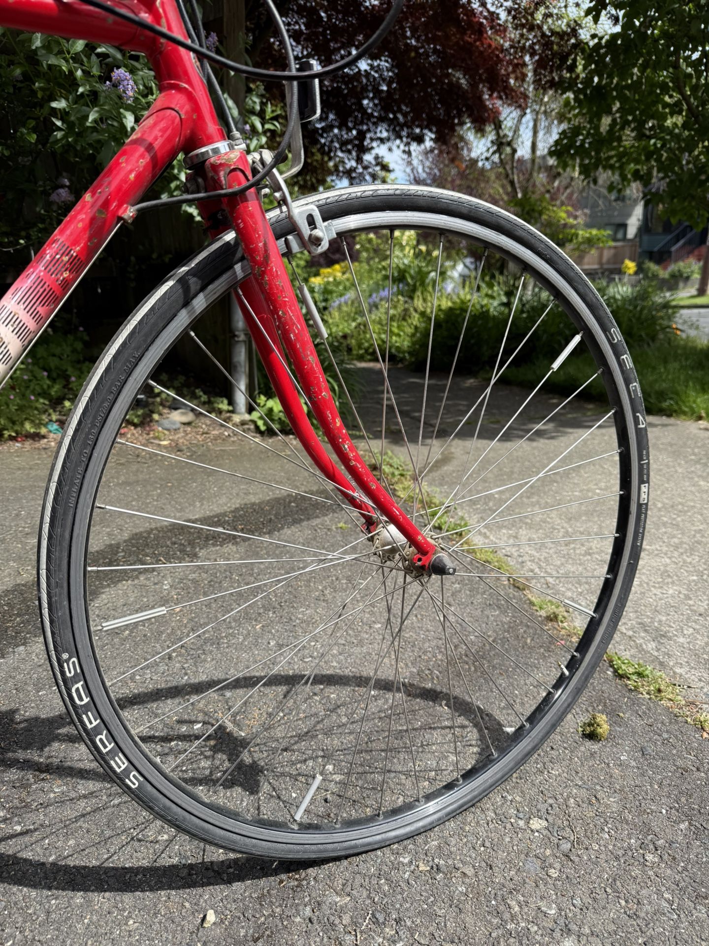 Schwinn World Bike Women