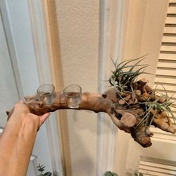 Candle Holder with Air Plants and 2 Candles