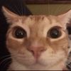 Anthony