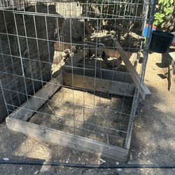 Cages