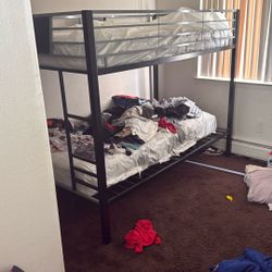 Twin Bunk Beds