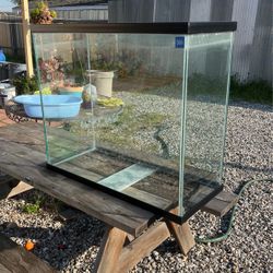70 Gallon Fish Tank