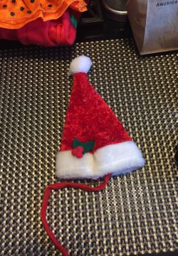 Santa hat for a dog or cat small