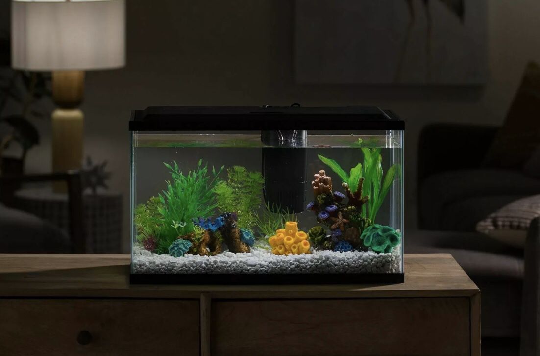 10 Gallon Aquarium Set / Fish Tank