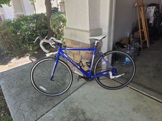Treasure road bike