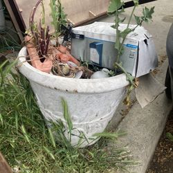 Tons Of Planter Pots, Different Styles Different Sizes Different Prices