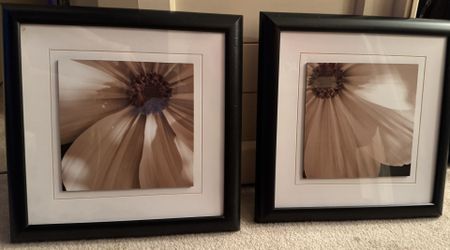 Pictures