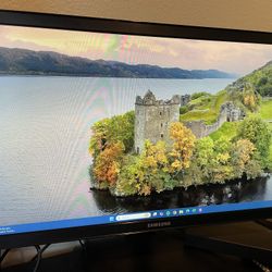 Samsung Computer Monitor