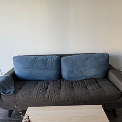 Couch For $20