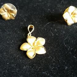 14 kt Yellow Gold Post Earrings & Pendant set