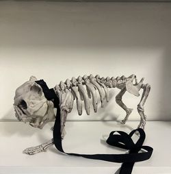 Halloween Dog Skeleton With Spiked Collar Leash Decoration