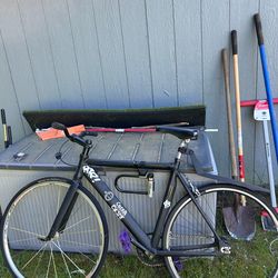 Single speed bicycle