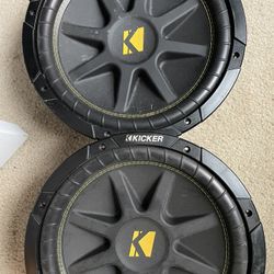 12” Subwoofers 