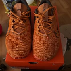 Nike Shoes 
