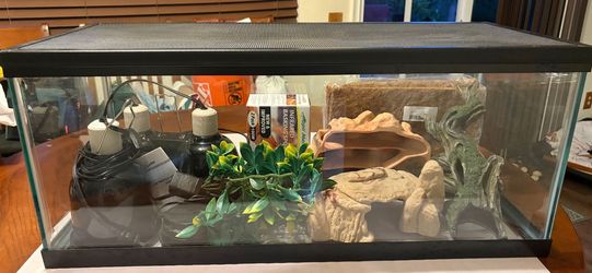 Reptile Terrarium with lights & accessories