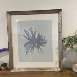 Framed Wall Art of a Coral