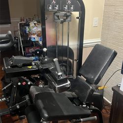 French Fitness Tahoe Seated Leg Curl/Leg Extension 