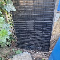 Large Dog Kennel
