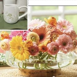 Princess House Frutero O Centro De Mesa  1 Taza 