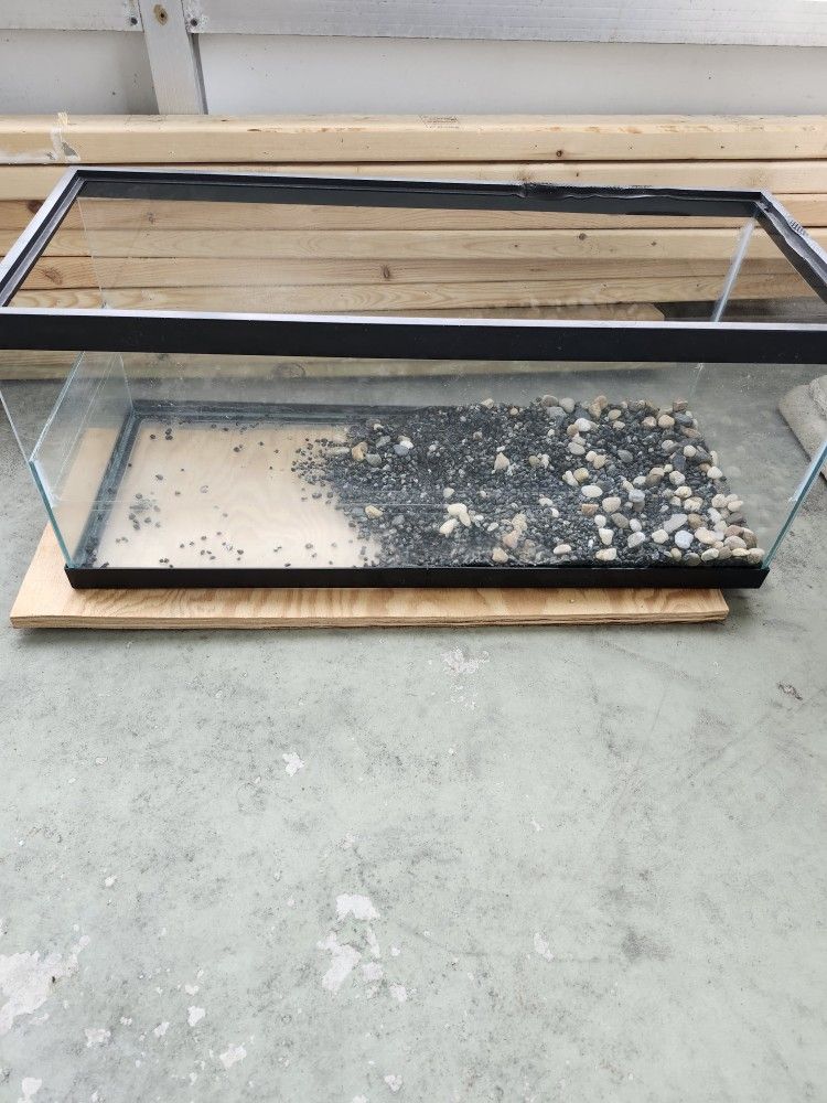 Turtle Aquarium