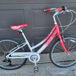 24" Trek Girls Bike