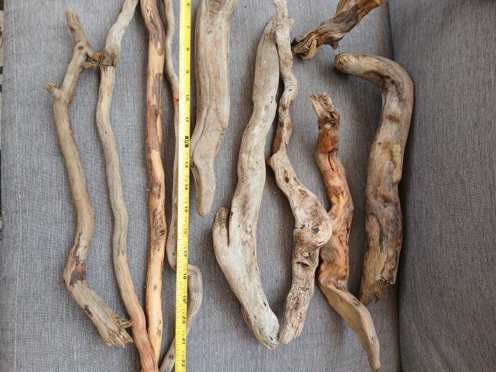 DRIFTWOOD/REPTILES/LIZARDS/CRAFTS