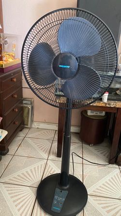 Windmere Black Pedestal Standing Fan