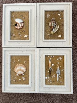Seashell Decor Art - Set of 4
