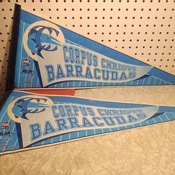  Corpus Christi Barracudas Tx-La League Vintage Defunct 1994 Team Logo Pennant