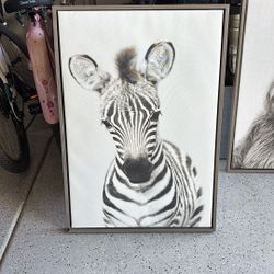 Baby Zebra Sepia Canvas Print Framed Picture