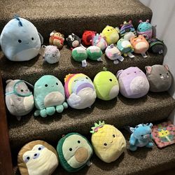 SquishMallow Plush Lot Mini and Med size
