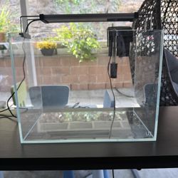 Fish Tank