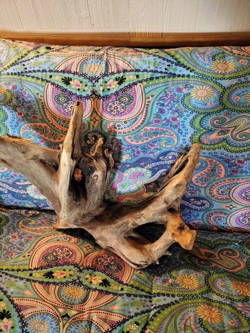 Driftwood