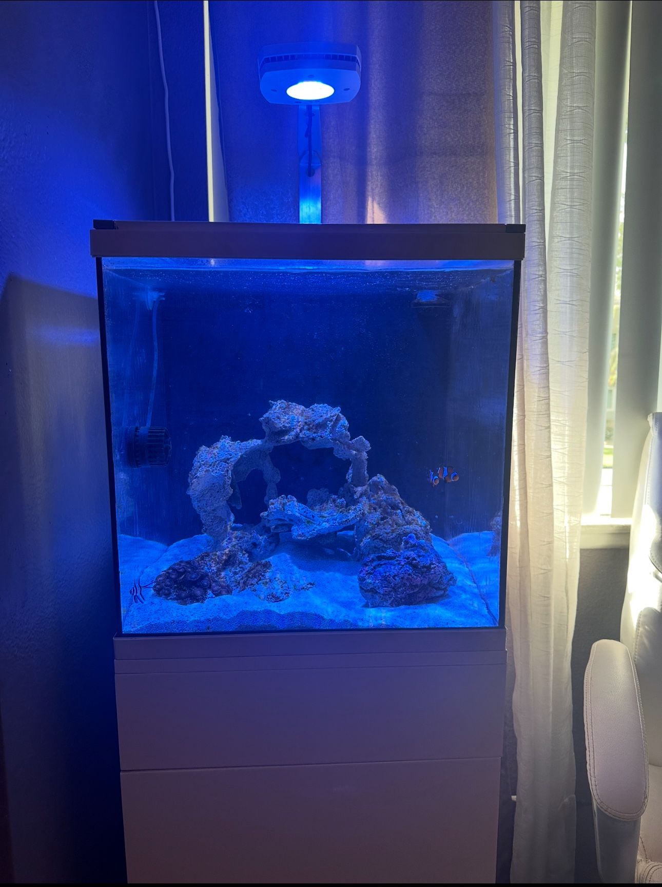 Complete 20 Gallon Reef Tank