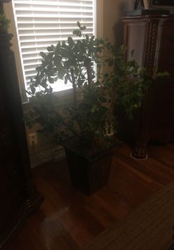 Plant silk very nice