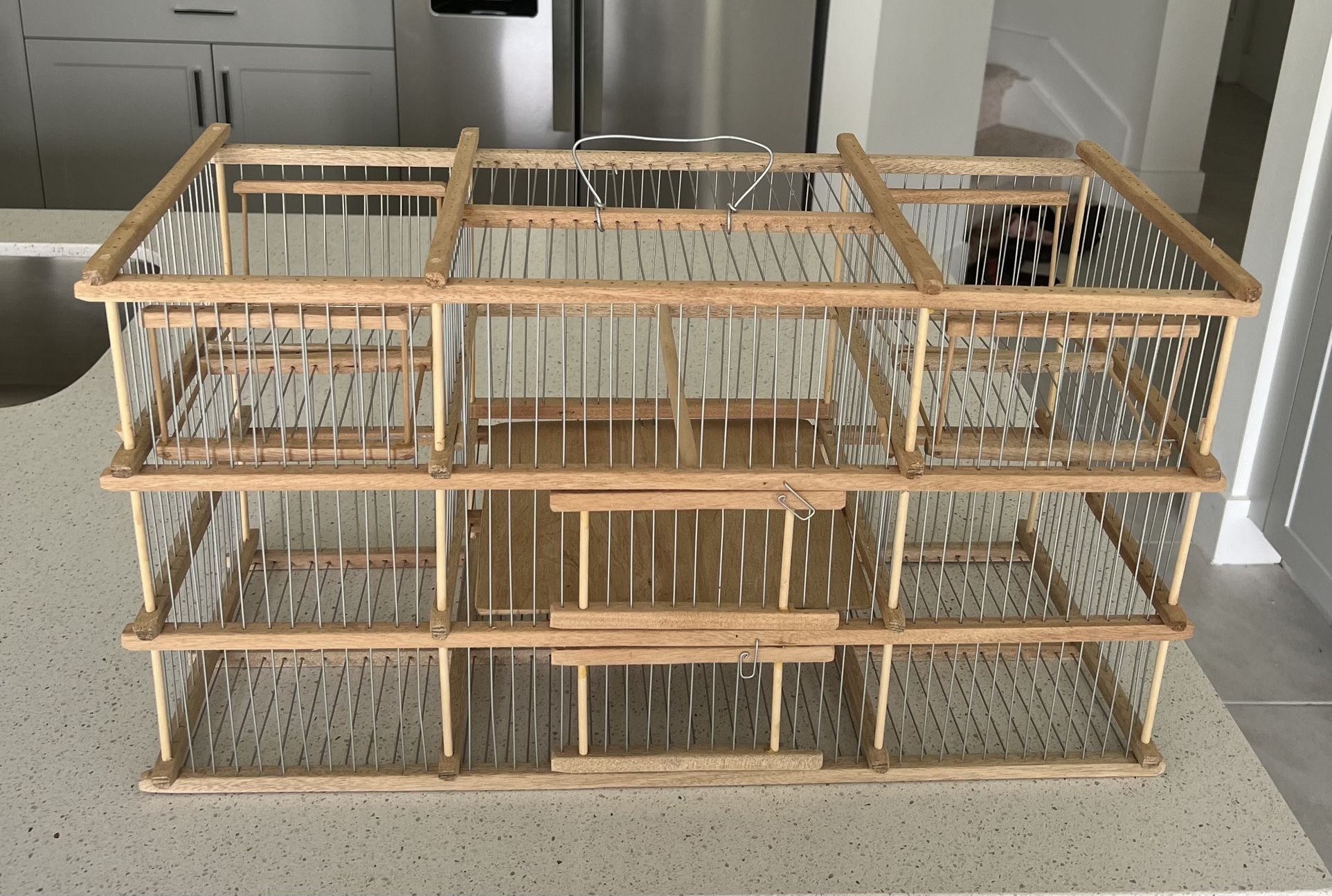 Trap Bird Cage (Jaula De Trampa)