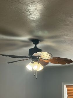 Nice fan
